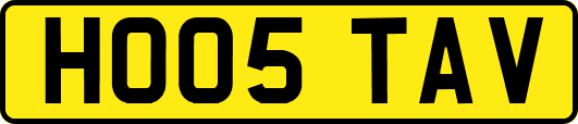 HO05TAV