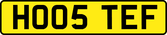 HO05TEF
