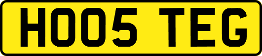 HO05TEG