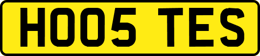 HO05TES