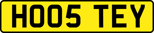 HO05TEY