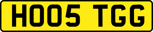 HO05TGG