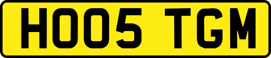 HO05TGM