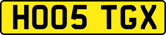 HO05TGX