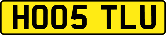 HO05TLU
