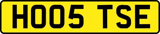 HO05TSE