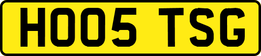 HO05TSG