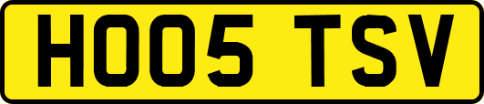 HO05TSV