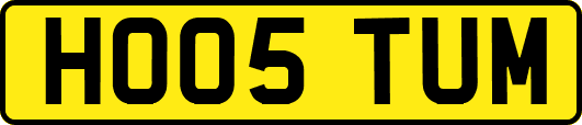 HO05TUM