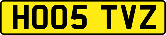 HO05TVZ