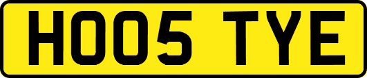 HO05TYE