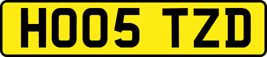 HO05TZD