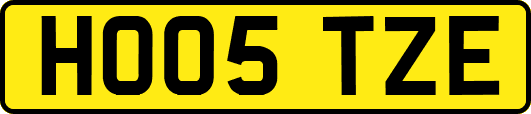 HO05TZE