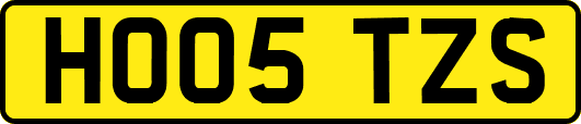 HO05TZS