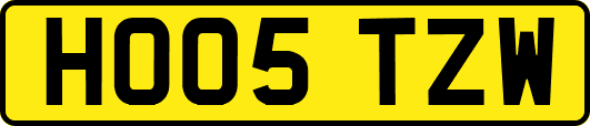 HO05TZW