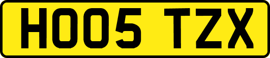 HO05TZX