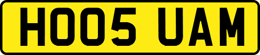 HO05UAM