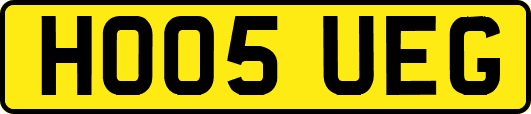 HO05UEG