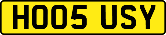 HO05USY