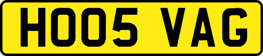 HO05VAG