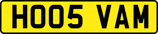 HO05VAM