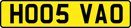 HO05VAO