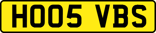 HO05VBS
