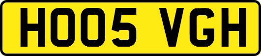 HO05VGH