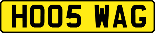 HO05WAG