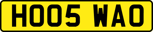 HO05WAO