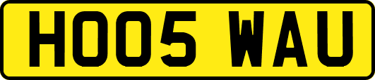 HO05WAU
