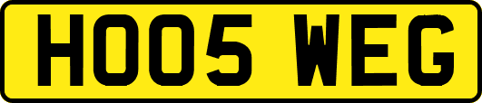 HO05WEG