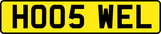 HO05WEL