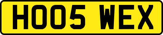 HO05WEX