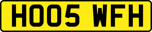 HO05WFH