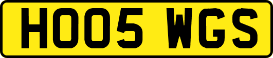 HO05WGS