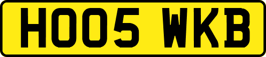 HO05WKB