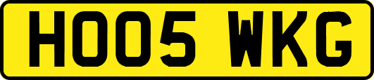 HO05WKG
