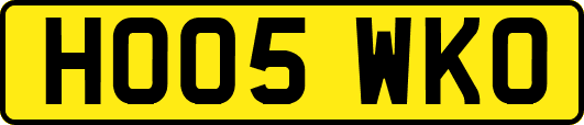 HO05WKO