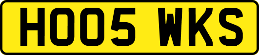 HO05WKS