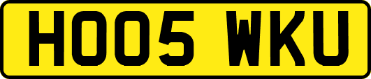 HO05WKU