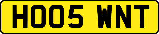 HO05WNT