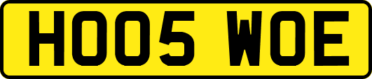 HO05WOE