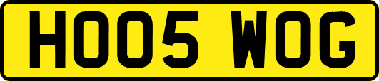 HO05WOG