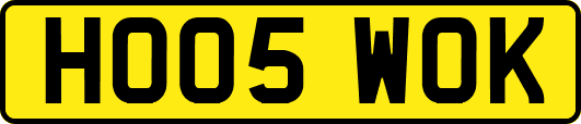 HO05WOK