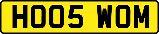 HO05WOM