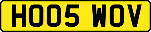 HO05WOV