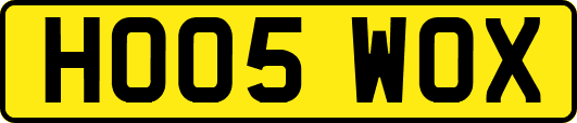 HO05WOX