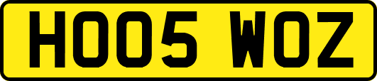 HO05WOZ
