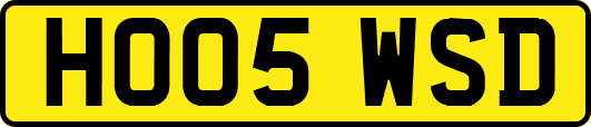 HO05WSD